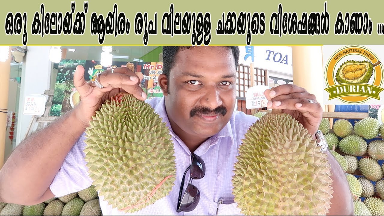 ഒരു കിലോയ്ക്ക് ആയിരം രൂപ വിലയുള്ള ചക്കയുടെ വിശേഷങ്ങൾ, Durian - The World's Smelliest Fruit