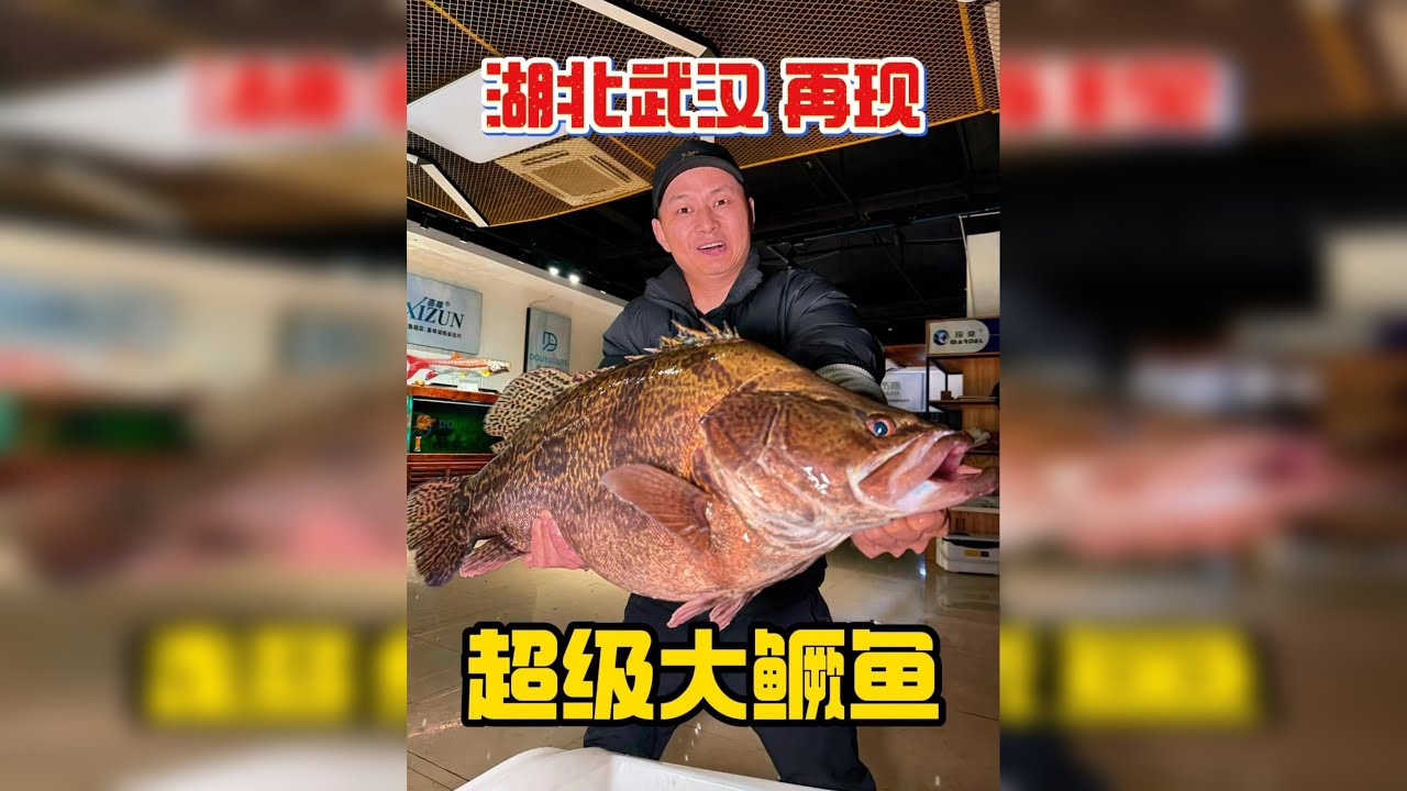 钓鱼佬的终极梦想，超20斤的大鳜鱼又来了！坐标：湖北武汉！