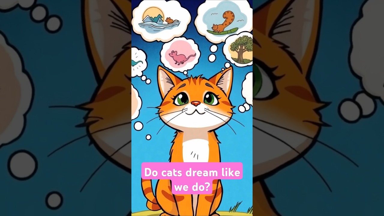 Do Cats Dream Like Humans? The Truth Will Melt Your Heart! 