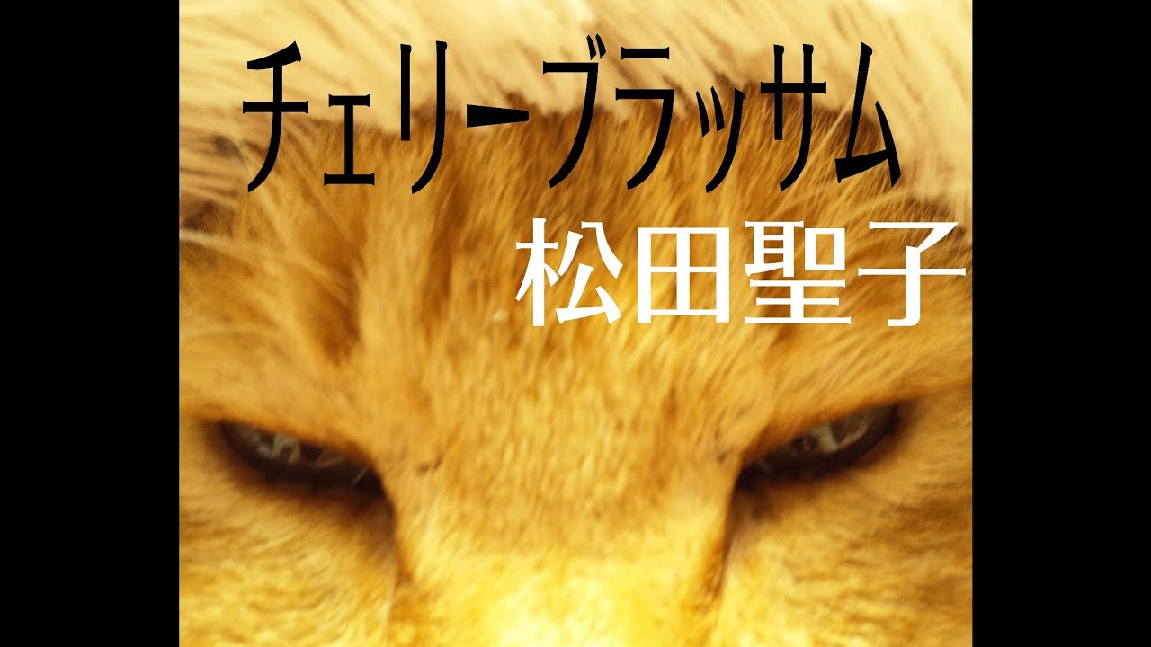 松田聖子／チェリーブラッサム【うたスキ動画】🎉一発撮り＆クレームは受け付けておりません♪