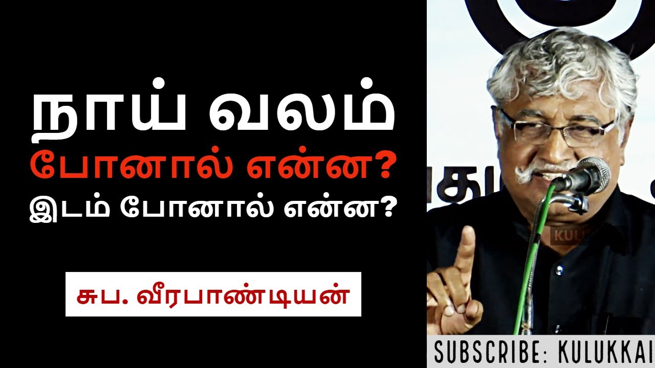 நாய் வலம் போனால் என்ன; இடம் போனால் என்ன? | சுப. வீரபாண்டியன் | Suba. Veerapandian