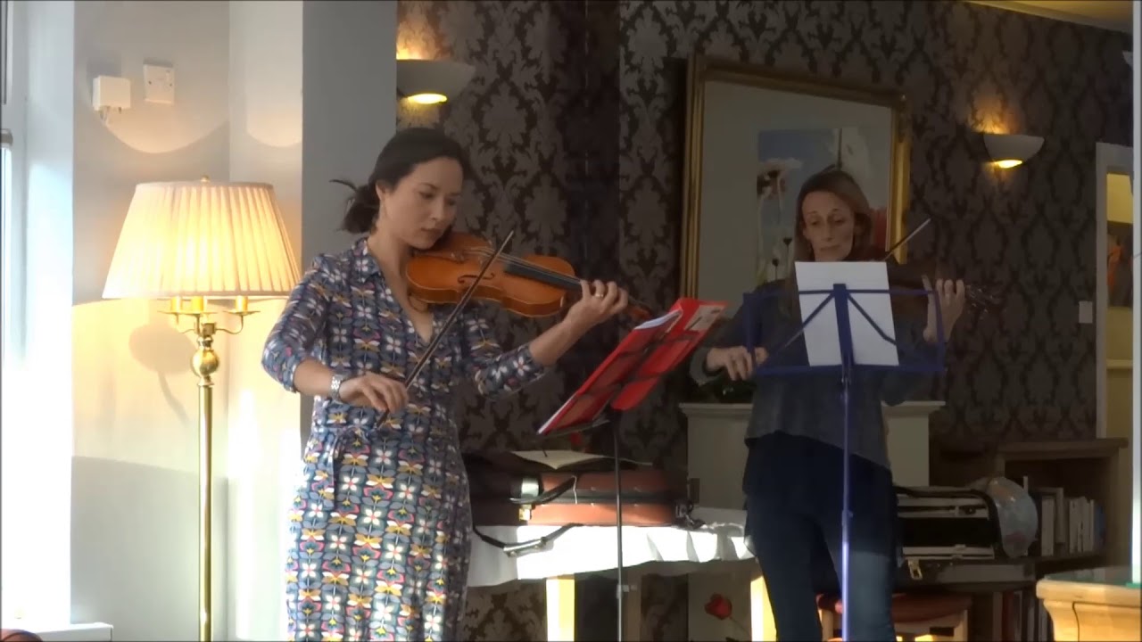 Violinsts