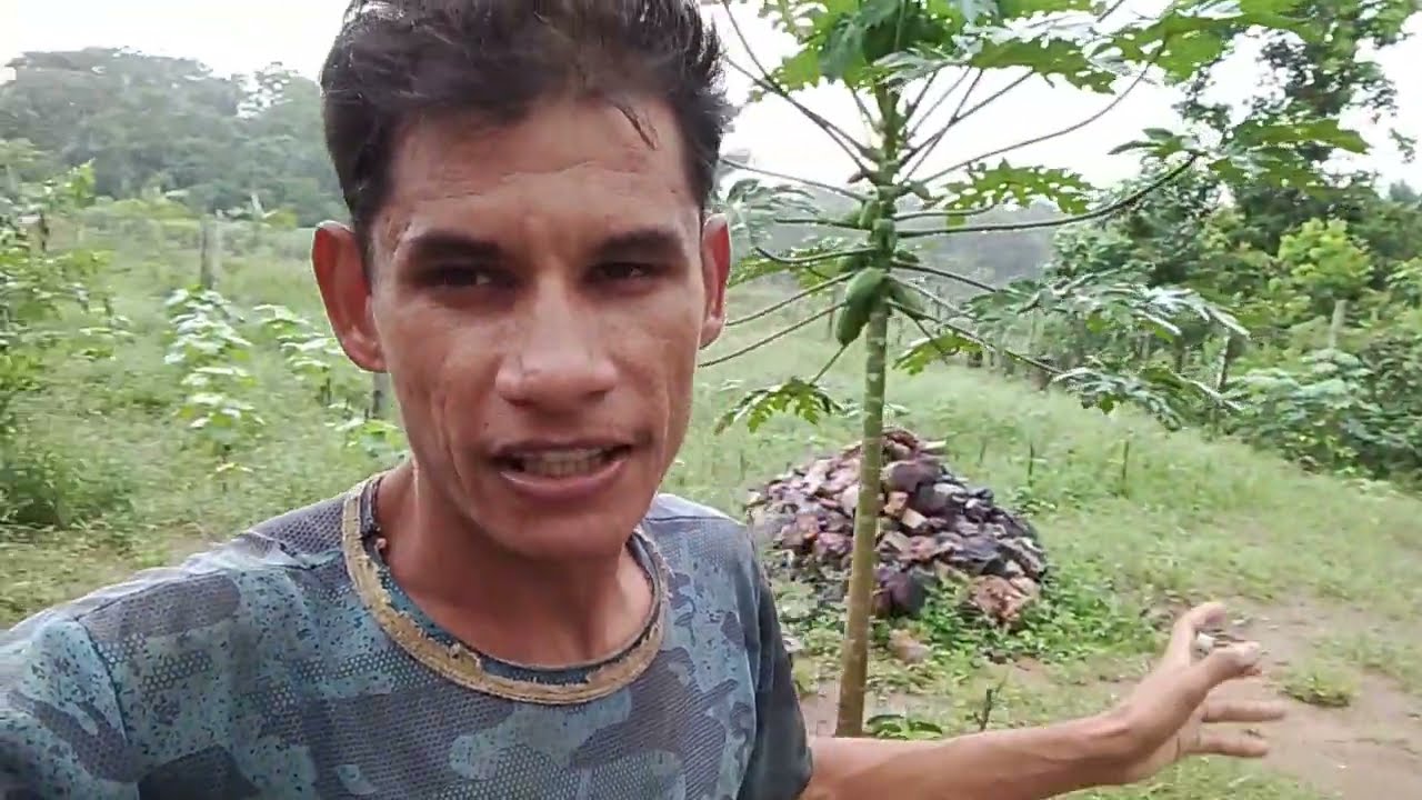 De volta ao RANCHO como está atualmente?