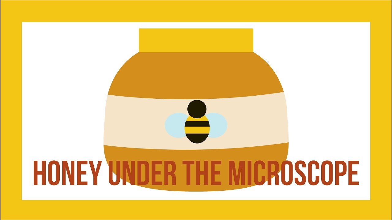 Honey Under the Microscope