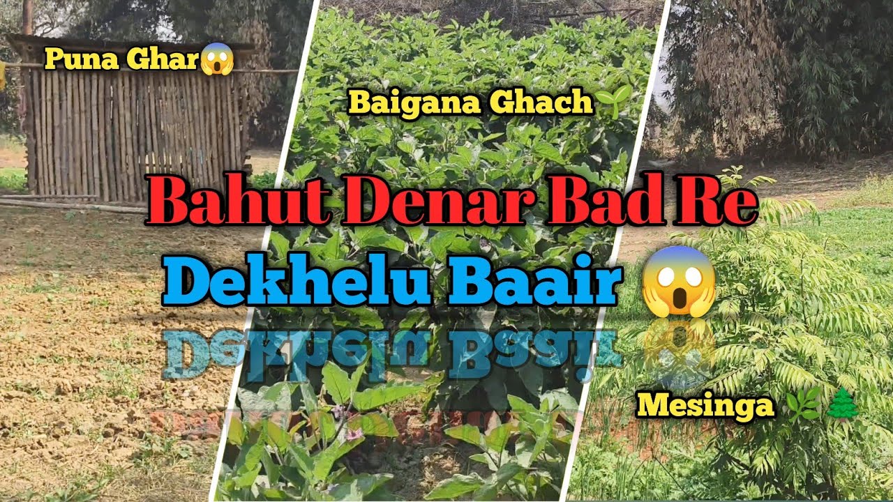 Bahut Denar Bat Bair Buli Asi Thilu