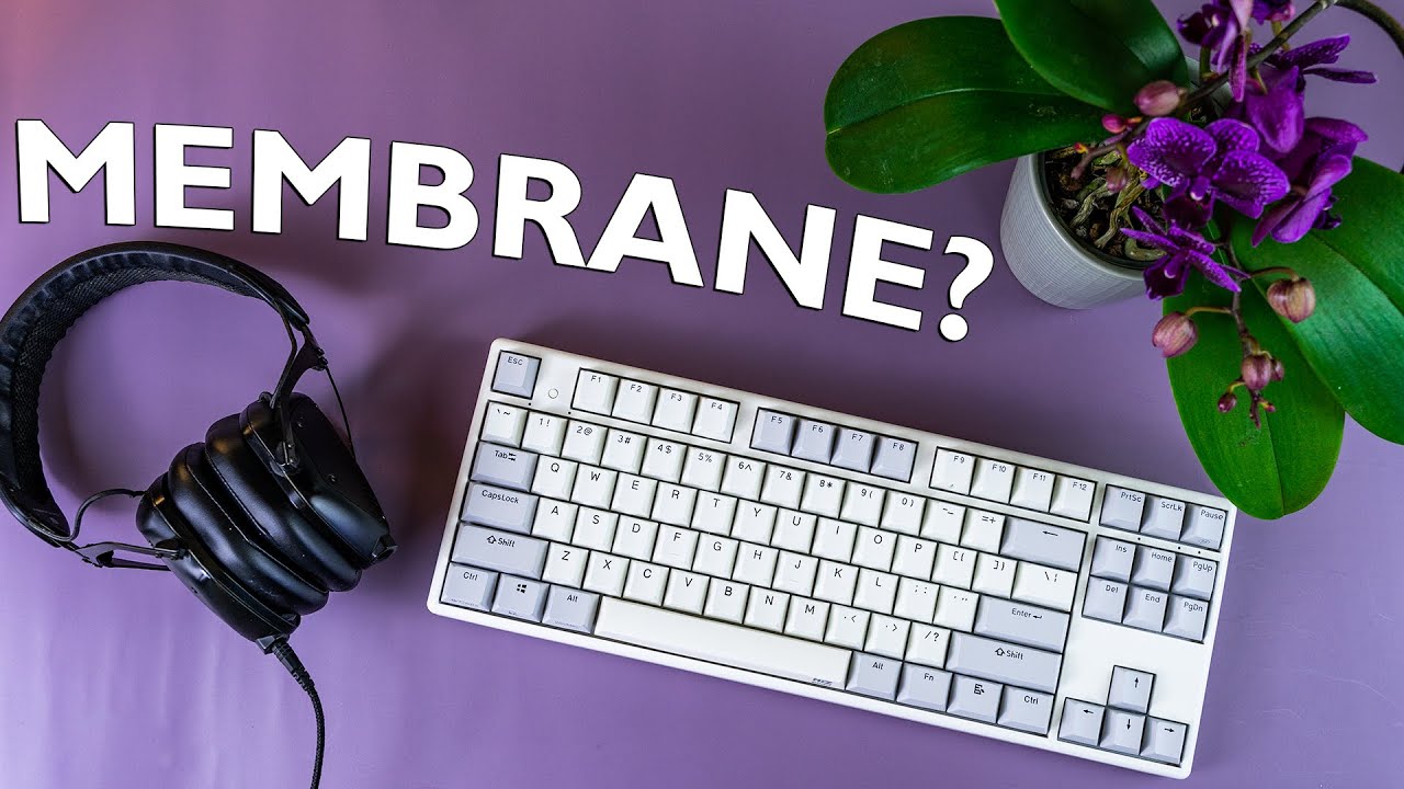 Мягкие клавиши — это хорошо? — Обзор Niz Plum x87