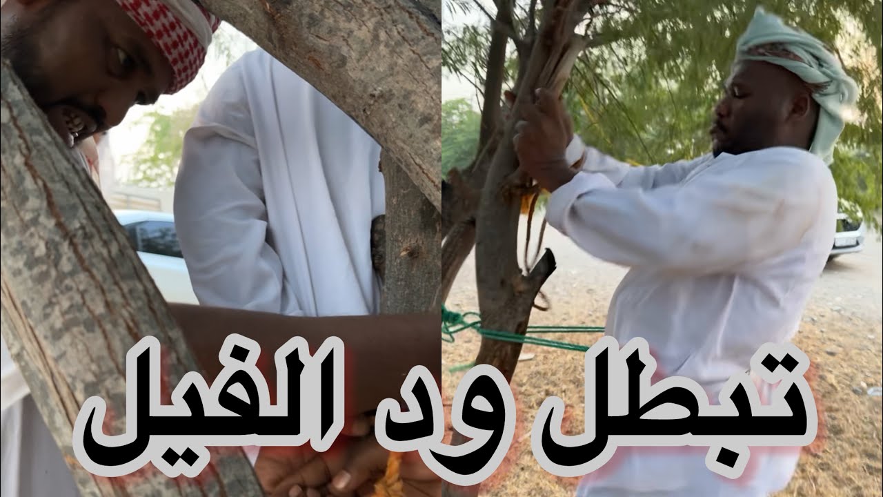 بوسيف وجليل ربطو ود لفيل😂😂