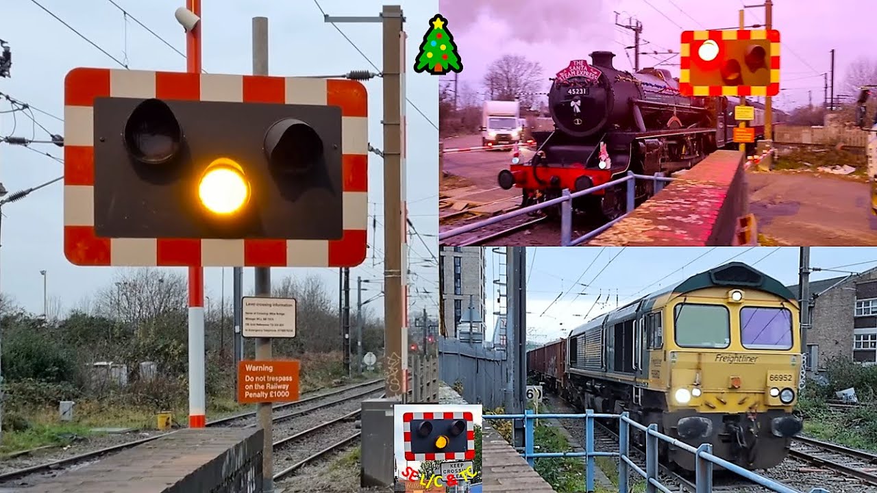 (Ft. 
