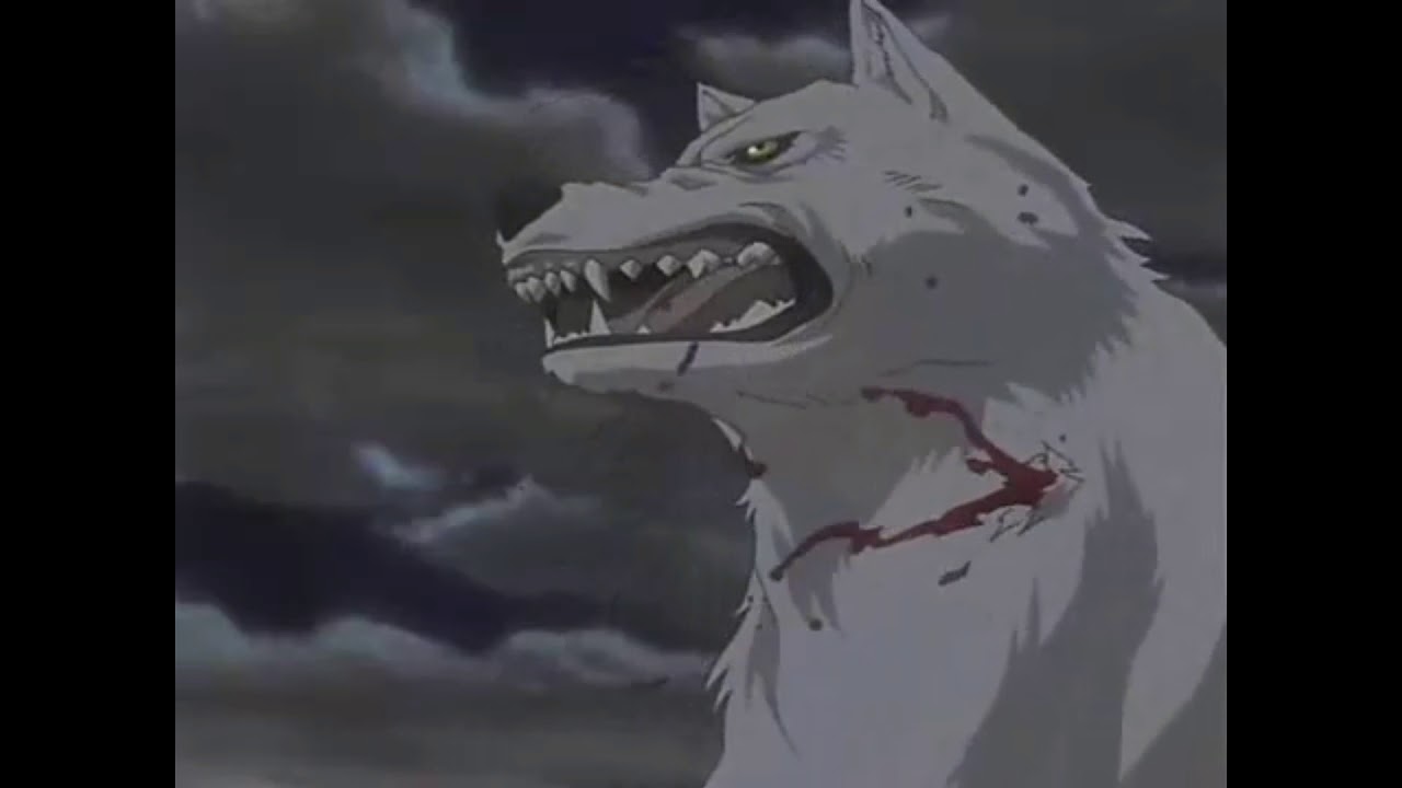 Wolf's rain, Hero AMV.