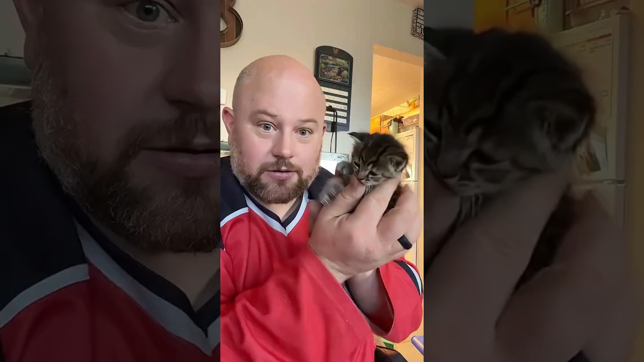 POV: Dad Said NO Cats In The House 😂