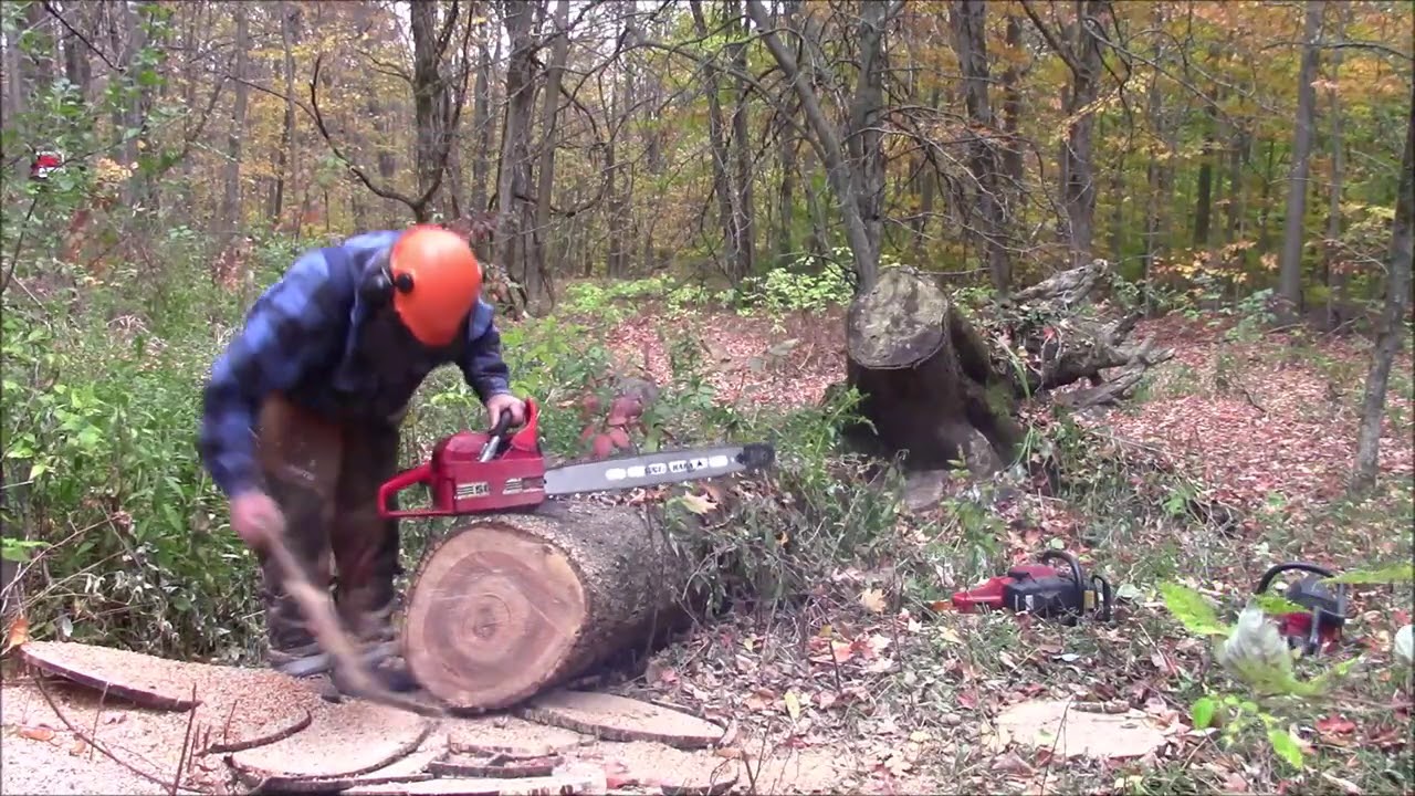 Solo 603 A 103cc BIG Saw (переработанное видео из предыдущих). Эта пила нуждается в собственном в...