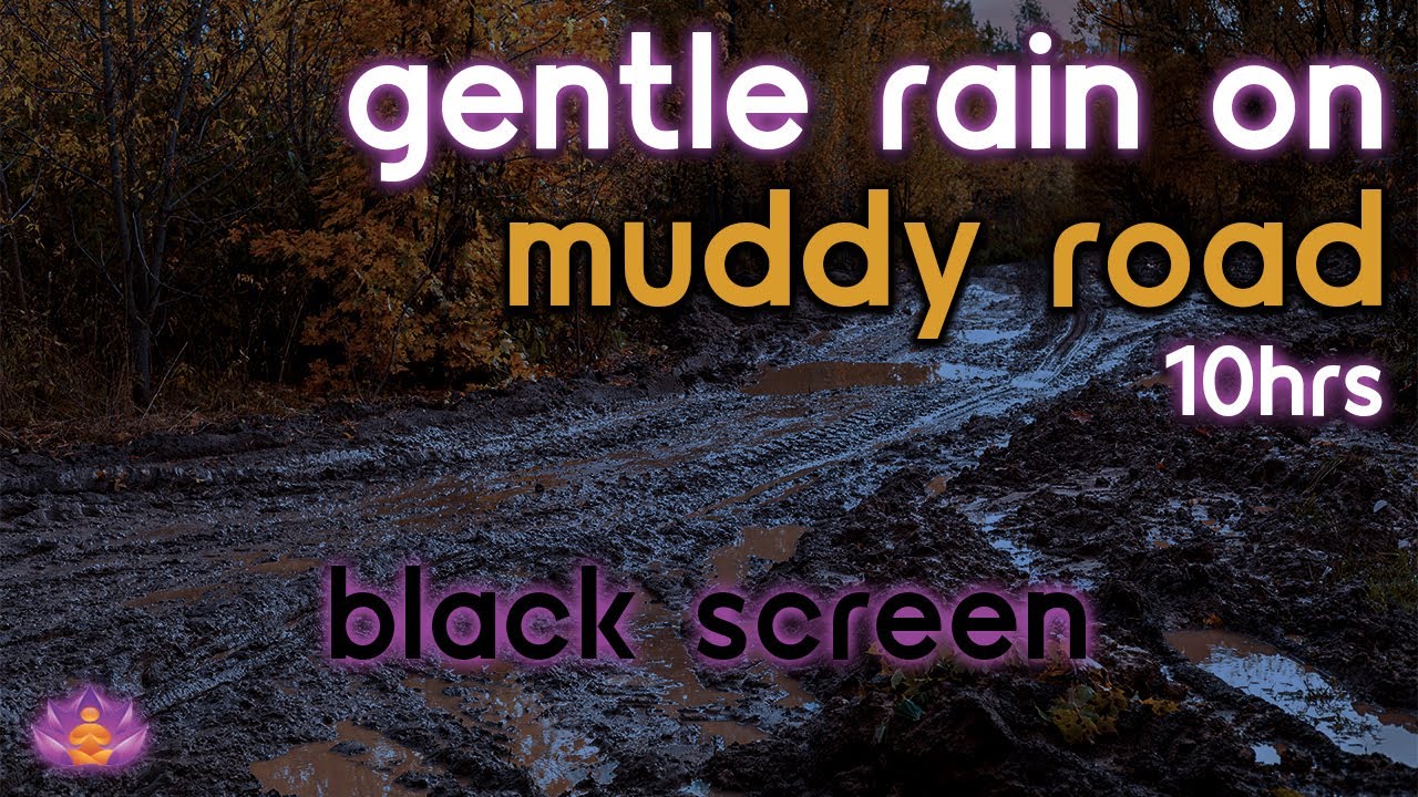 [Black Screen] Gentle Rain on Muddy Road | Rain Ambience No Thunder | Rain Sounds for Sleeping