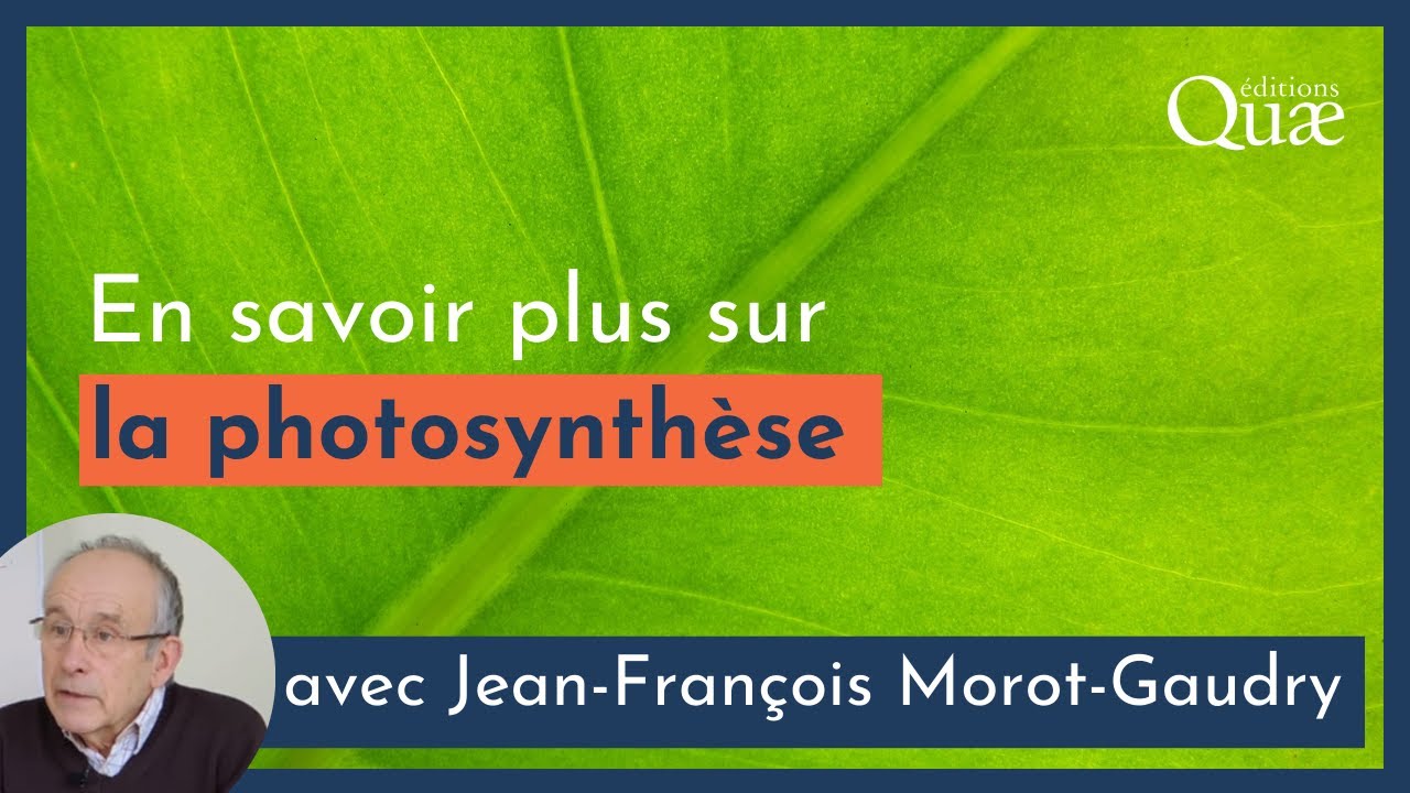 La photosynthèse par Jean-François Morot-Gaudry
