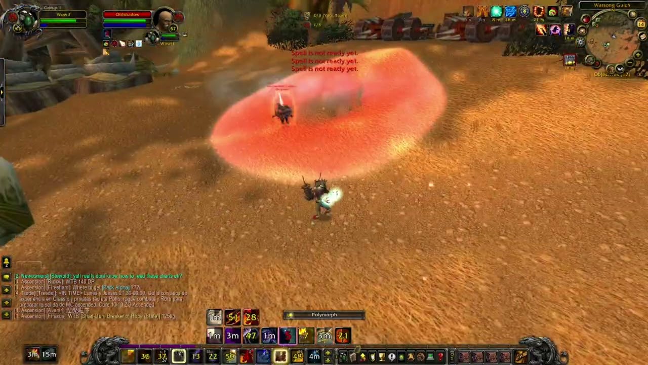 Bronzebeard Classic+ Mage PVP