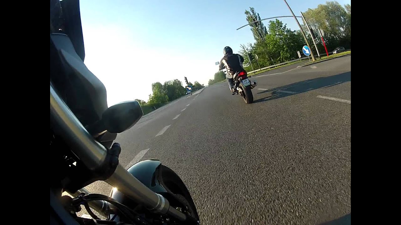Suzuki GSF 1250 N Bandit - wheelie