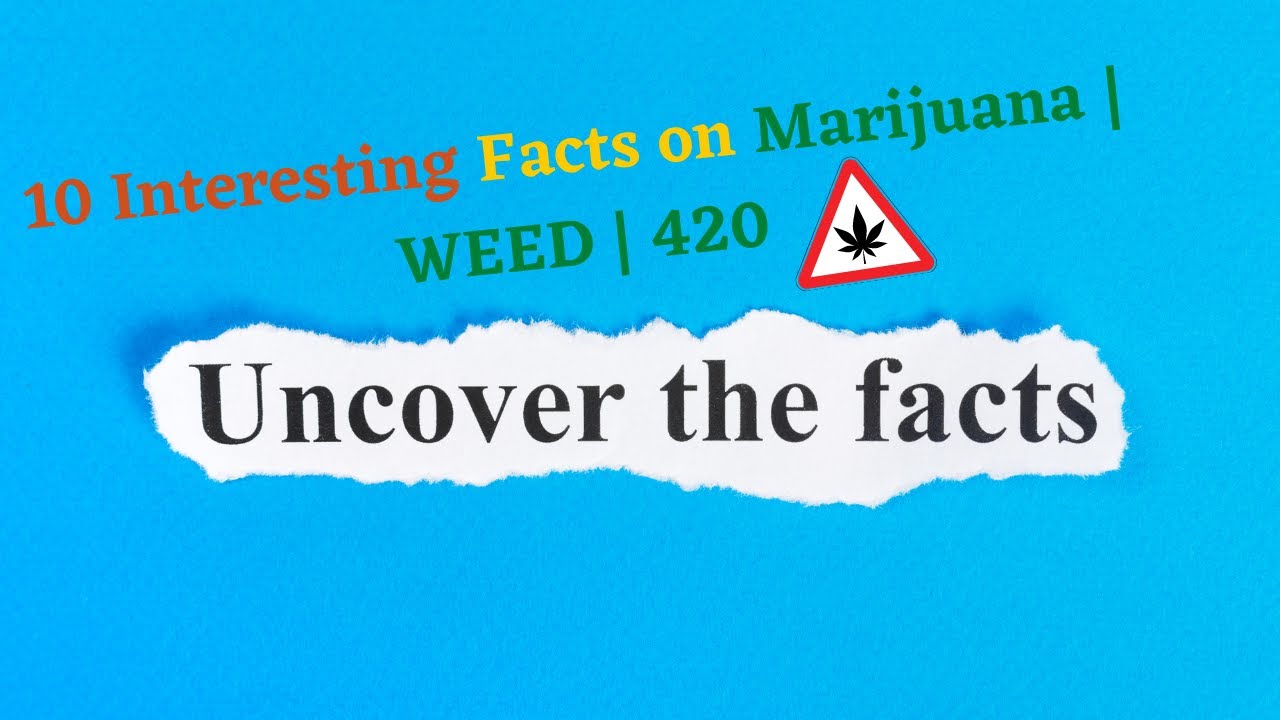 10 Interesting facts on Marijuana | WEED | 420. [ UPDATED 2021 ]