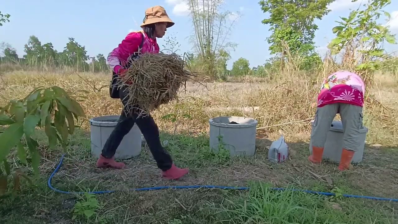 2 คู่หูมาช่วยกันเตรียมดินป้าอ้วนจะปลูกอะไรต่อไป