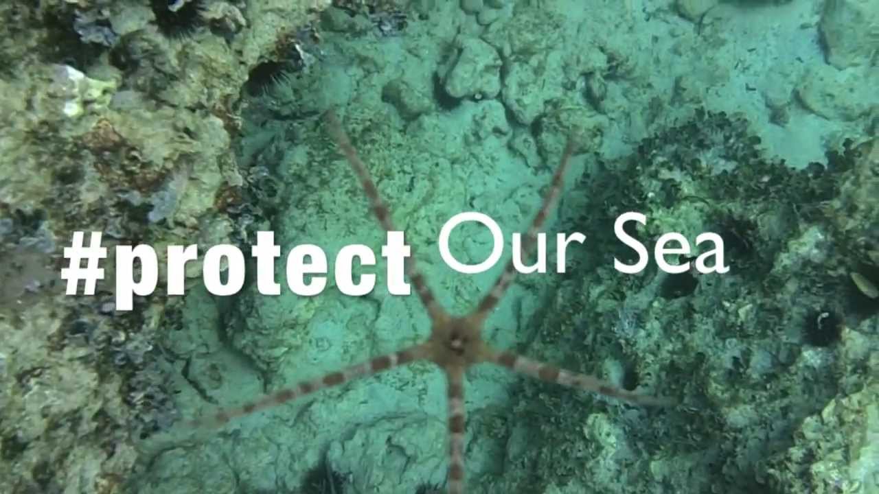 Snorkeling in Porto Cesareo AMP - [HD]