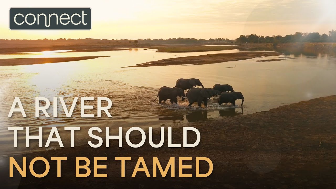 WWF Zambia - Luangwa River