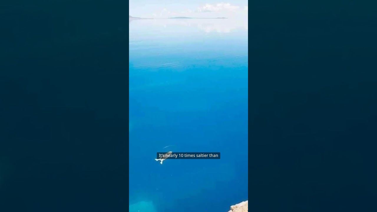 Floating in the Dead Sea