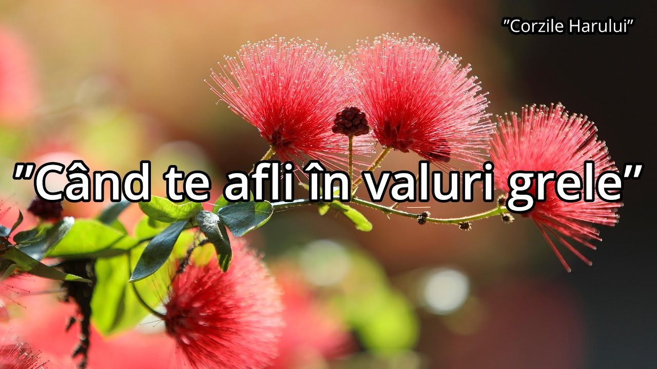”Când te afli în valuri grele” cântare creștină nouă 2026