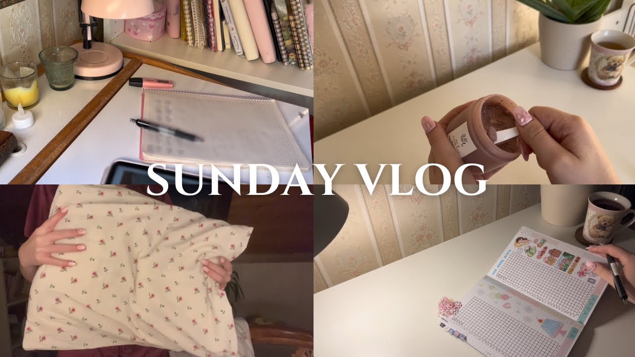 Productive reset🧺& study day📋 | 2026 journal📔 | guinea pigs🐹 | 