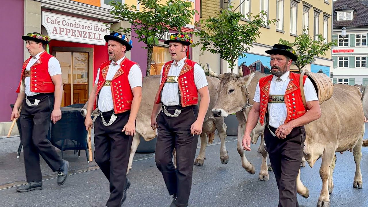 LAST ALPINE CATTLE DRIVES - the cows walk through the village of Appenzell up to the Alps [PART 2]