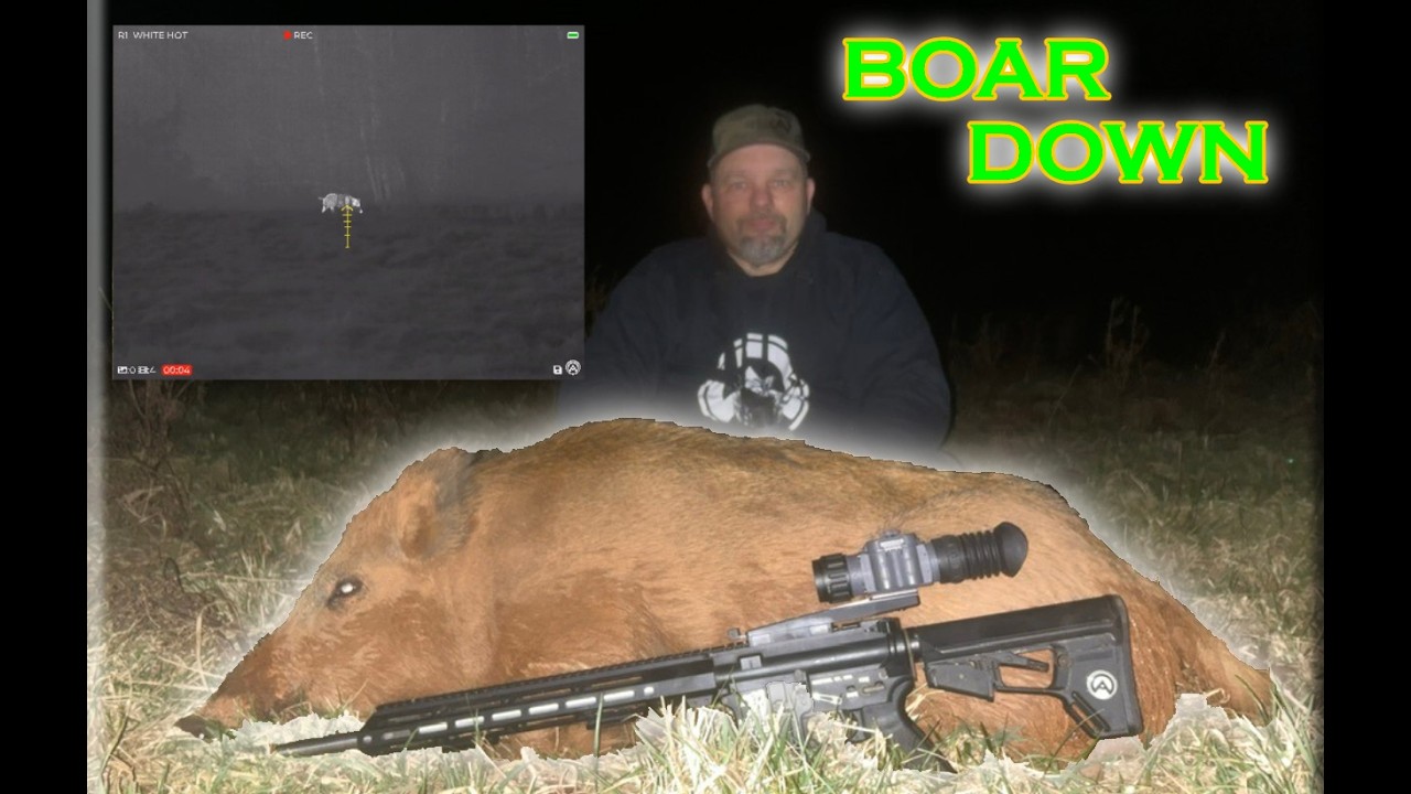 Red Boar Down