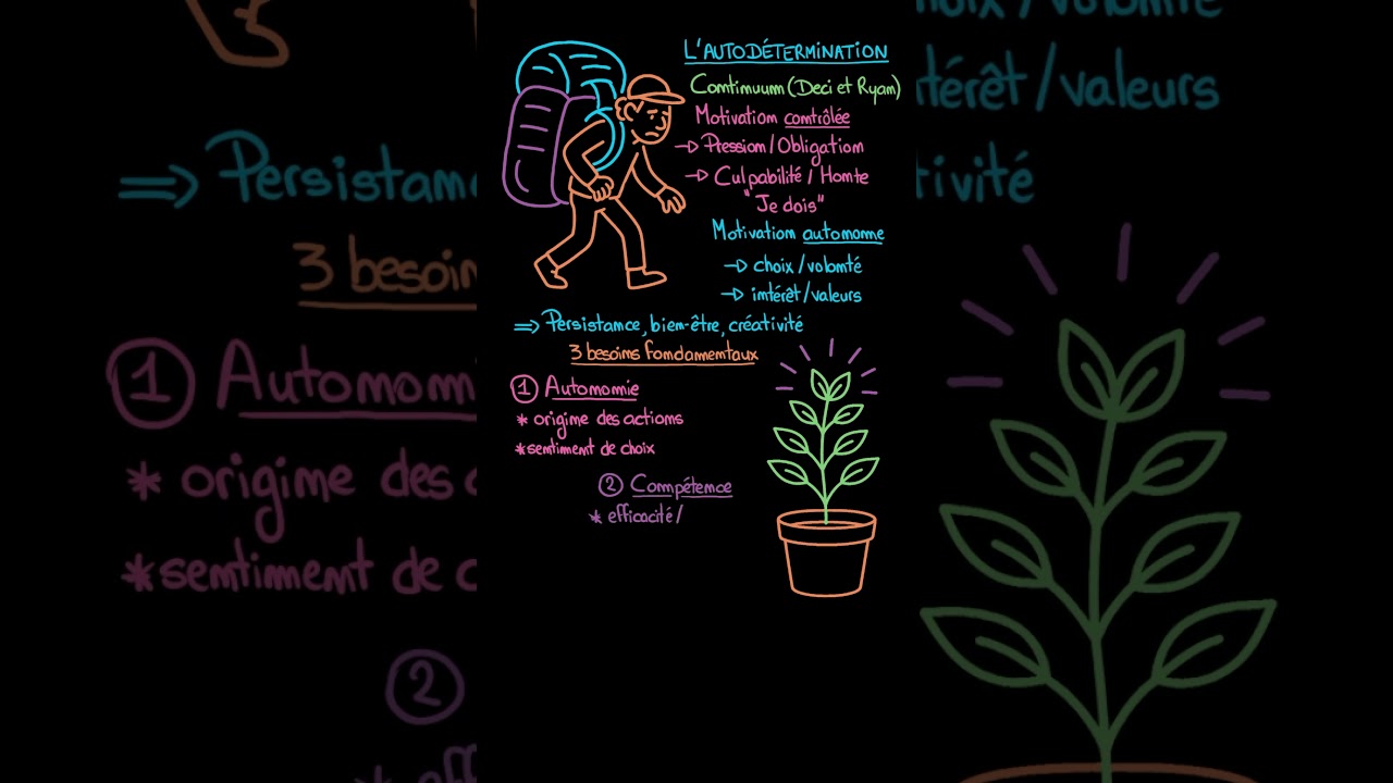 Qu&rsquo;est-ce que la th&eacute;orie de l&rsquo;autod&eacute;termination (TAD) ? #psychologie