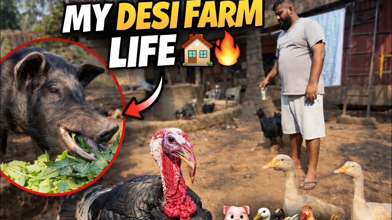 Desi Farm Vlog | My Daily Animal Care 🏡 #minifarm 