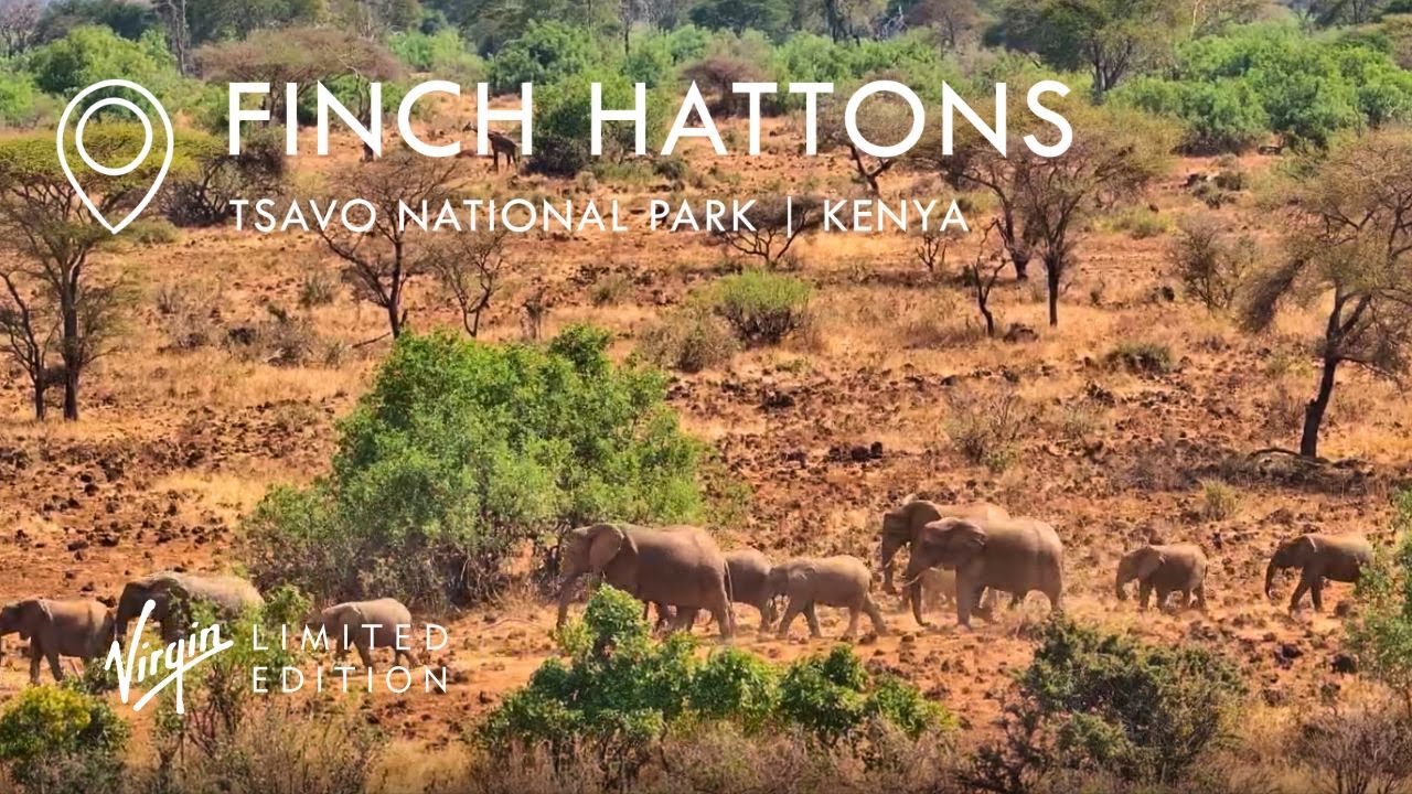 Finch Hattons Live Wildlife Camera | Tsavo National Park