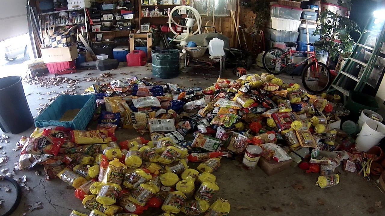 Black Friday Dumpster Diving - HUGE HAUL!