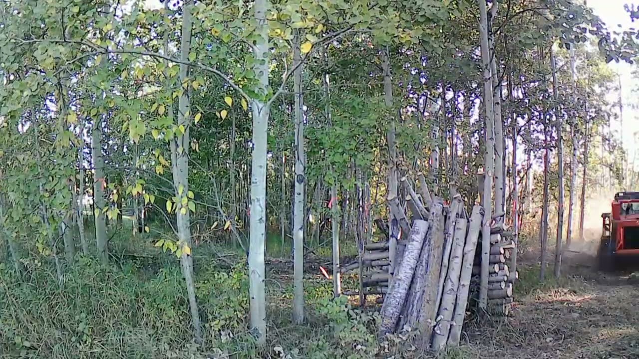 Malcolm time lapse 2.mov