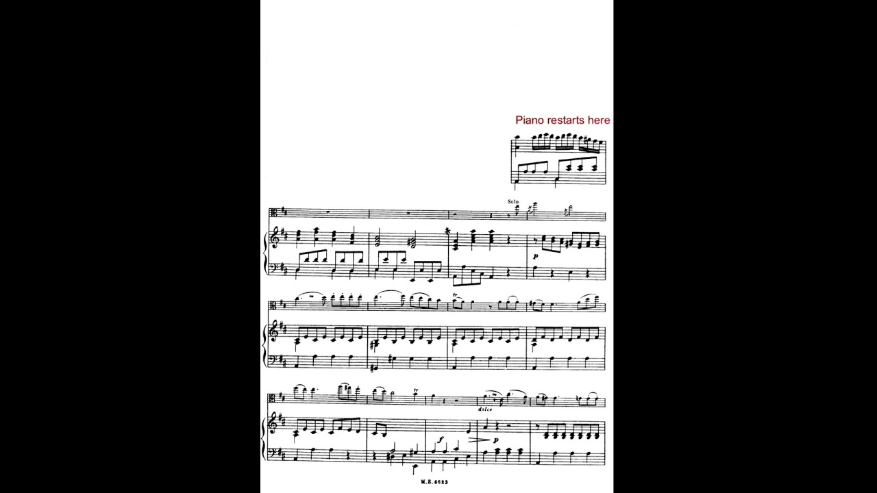 Hoffmeister viola concerto in D major - 1st movement: allegro - piano accompaniment for practice