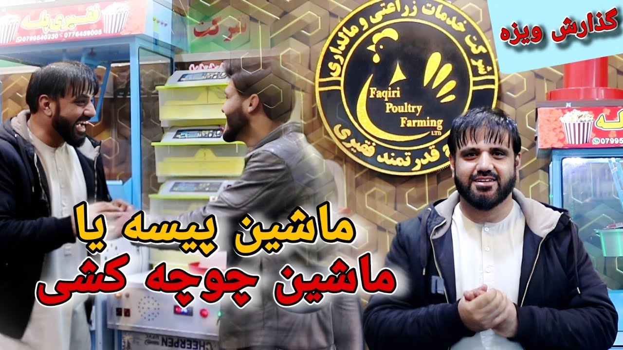 گذارش ویزه: همایون از شرکت مرغداری فقیری و چگونه کارکرد ماشین های چوچه کشی