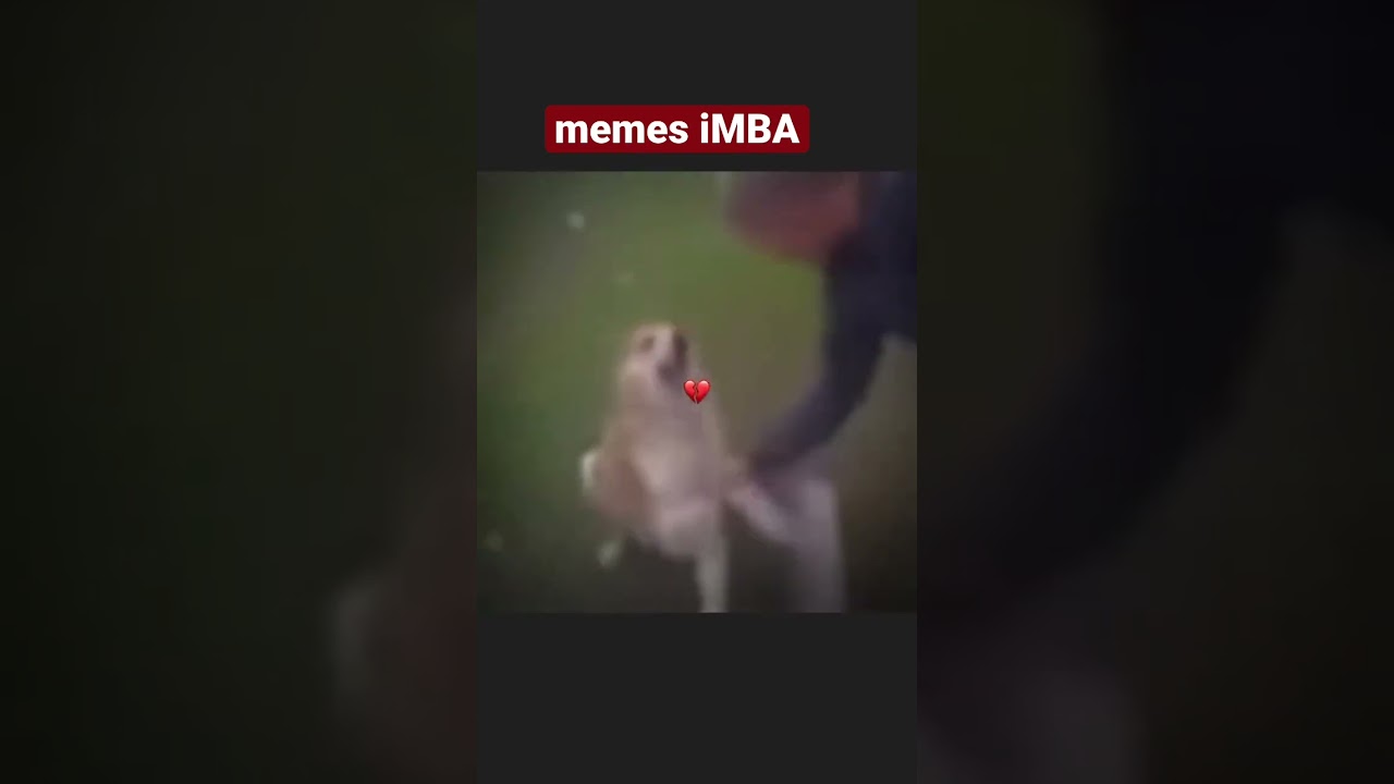 Don't miss it, subscribe😂 