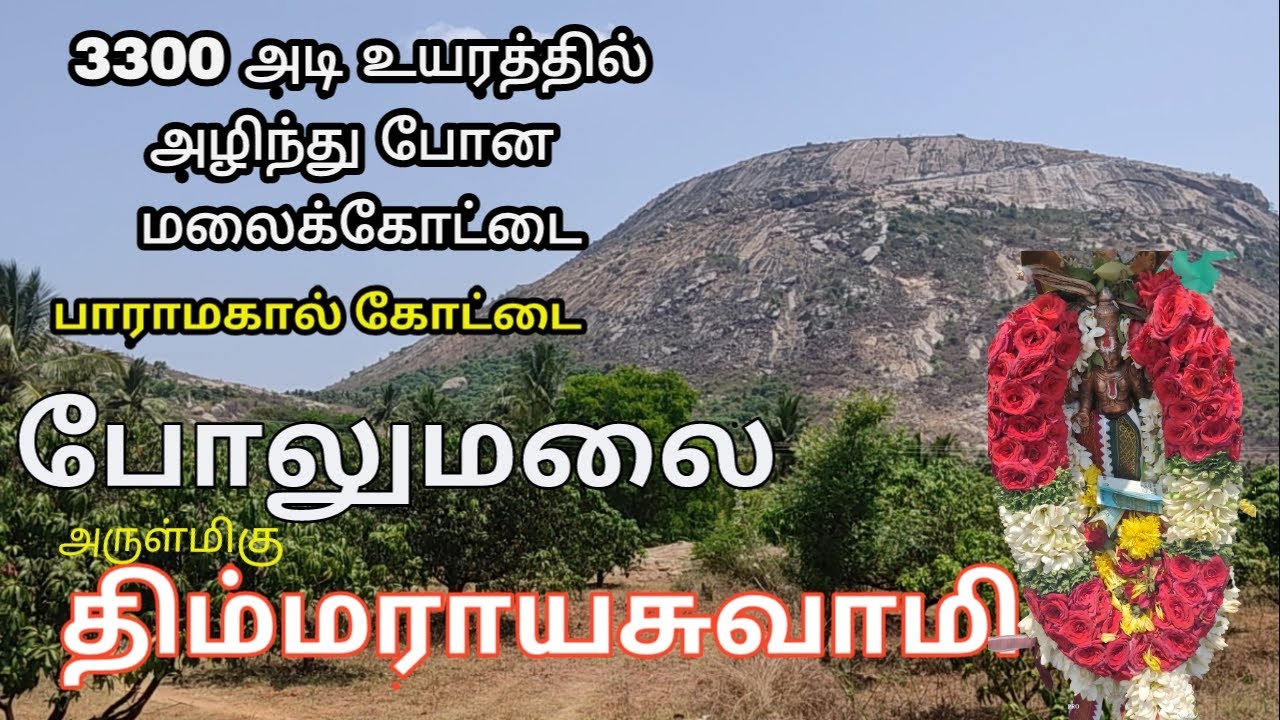 போலுமலை திம்மராயசுவாமி திருக்கோவில் | Bolumalai Thimmarayaswamy Temple | Thagaval medai |