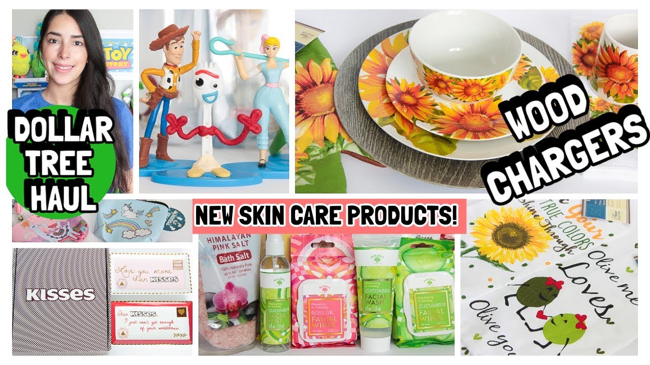 DOLLAR TREE HAUL JUNE 2019 NEW FINDS
