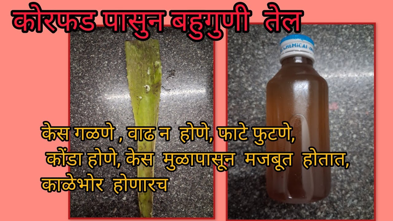 कोरफड ( Aloevera) पासुन  बहुगुणी  तेल कसे करायचे !फायदे ऐकून  व्हाल थक्क  . नक्की एकदा वापरून  बघा 