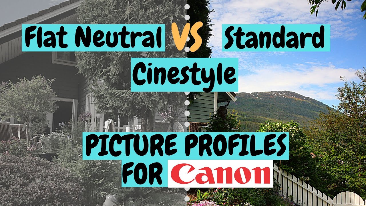 Standard VS Flat Neutral VS Cinestyle - Best Picture Profile for Canon M50 - Canon M6 mark ii?