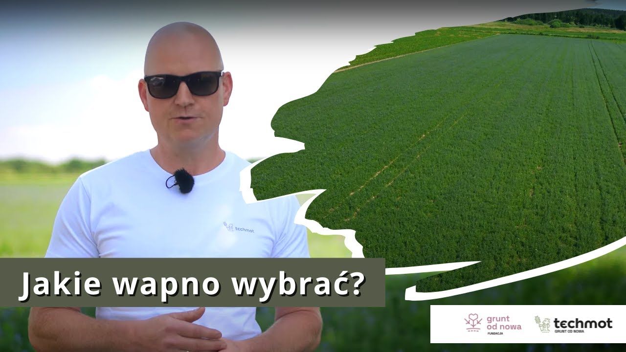 Jakie wapno wybrać?
