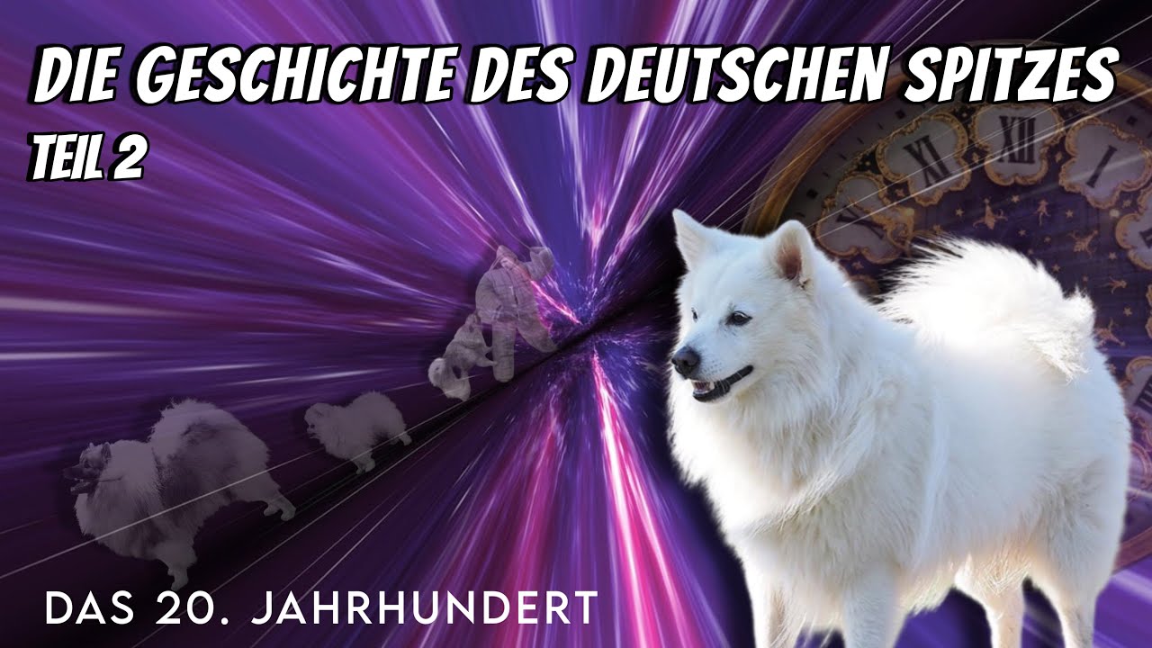 Die Geschichte des Deutschen Spitzes im 20. Jahrhundert