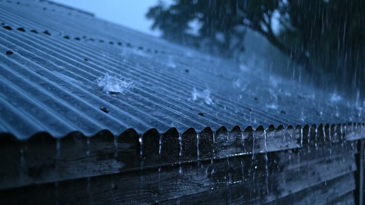 Solve Insomnia Within 3 Minutes with Heavy Rain & Tenacious Thunder on a Tin Roof in Forest at Night