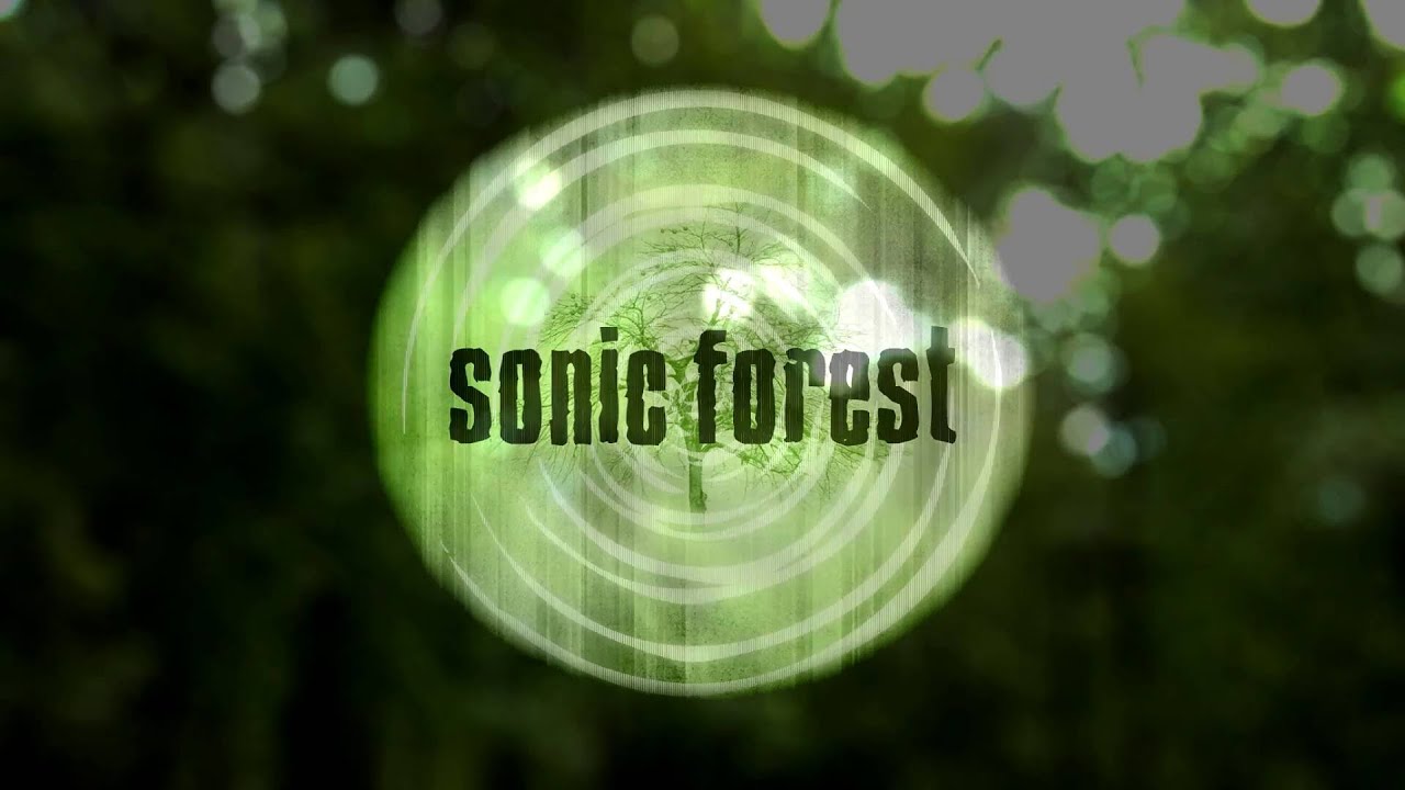 Sonic Forest: Experimental Granular Instrument (Supports Charity)