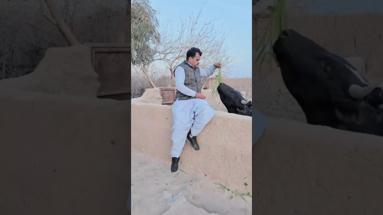 #طبیعت