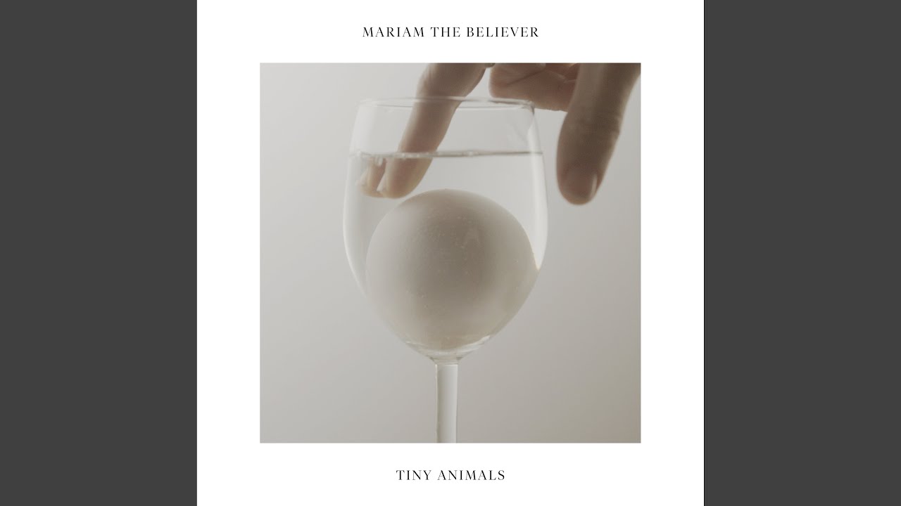 Tiny Animals