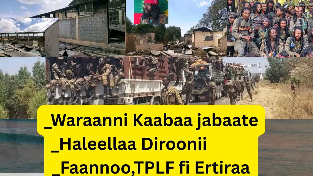 Guraandhala 12,2026 - Waraanni kaabaa jabaate sodaa guddaa uumeera