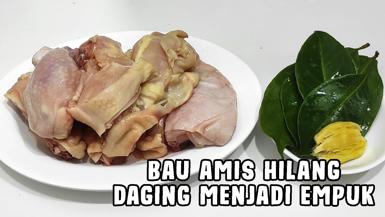 Tips Cara Mengolah Daging Ayam Agar Tidak Bau Amis dan Cepat Empuk | Sebelum Diolah Menjadi Masakan