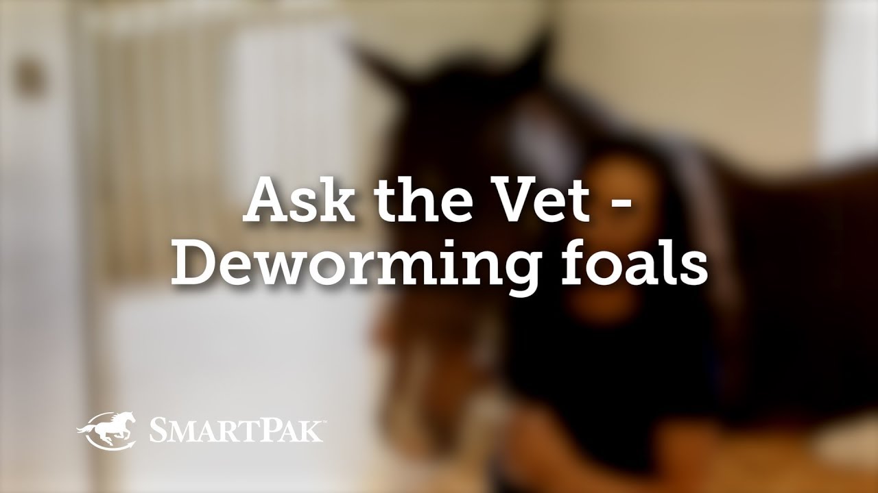 Ask the Vet - Deworming foals