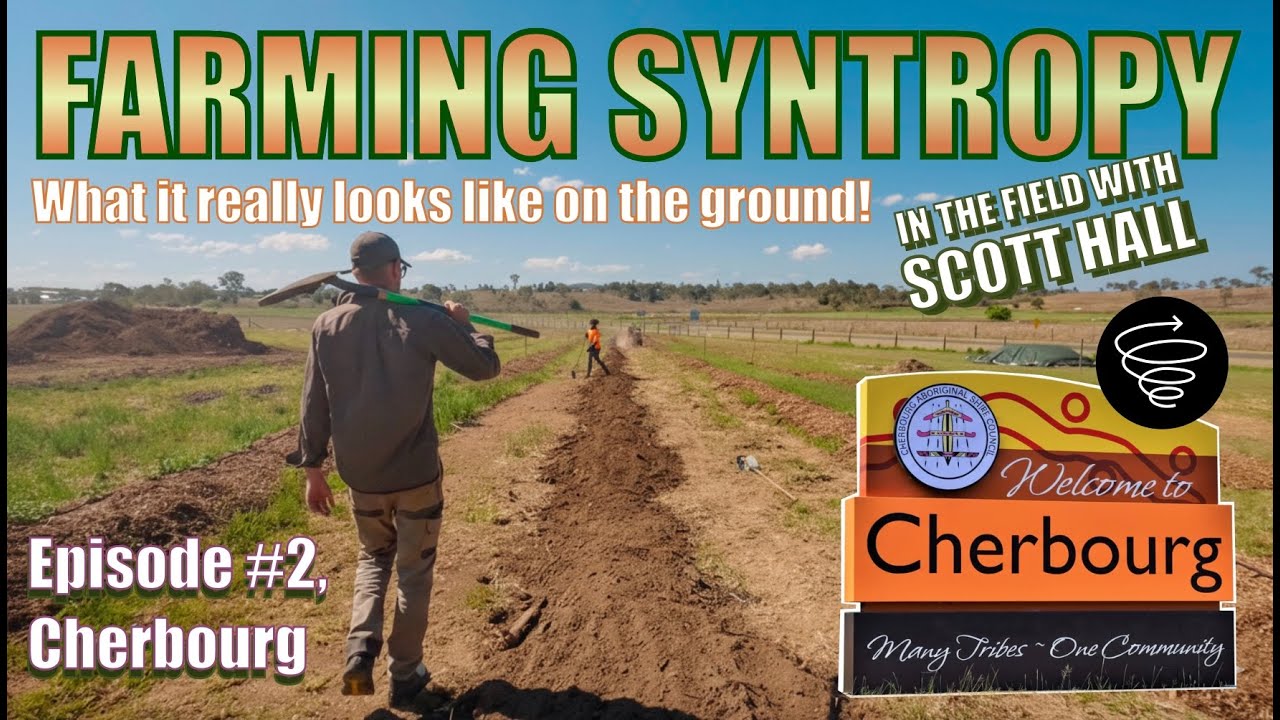 Фермерская синтаксическая механика, Эпизод 2, Шербур